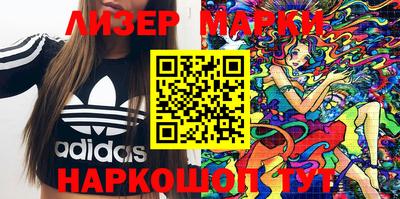 гидра Будённовск