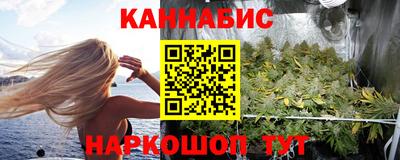 гидра Будённовск