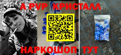 гидра Будённовск