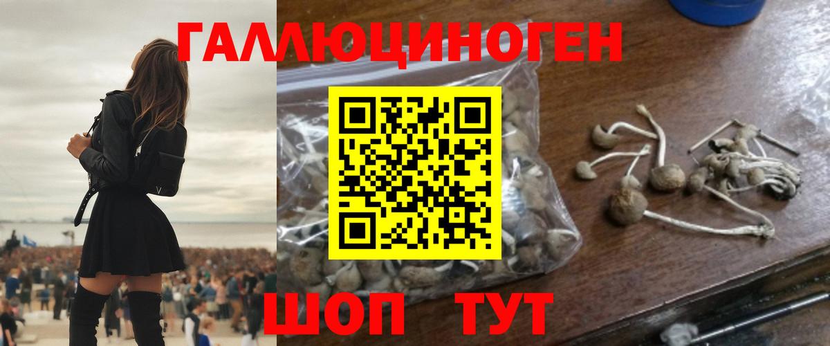 Галлюциногенные грибы Magic Shrooms Мытищи