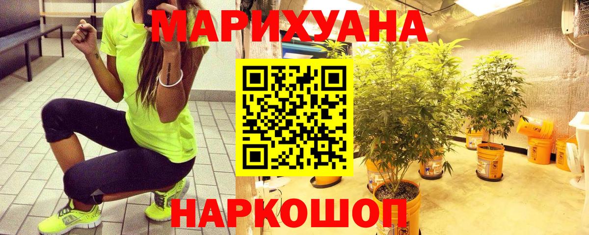 Конопля ГИДРОПОН  Каннабис марихуана  Конопля Bruce Banner  Мытищи  Вход с VPN  Бошки Шишки THC 21% 